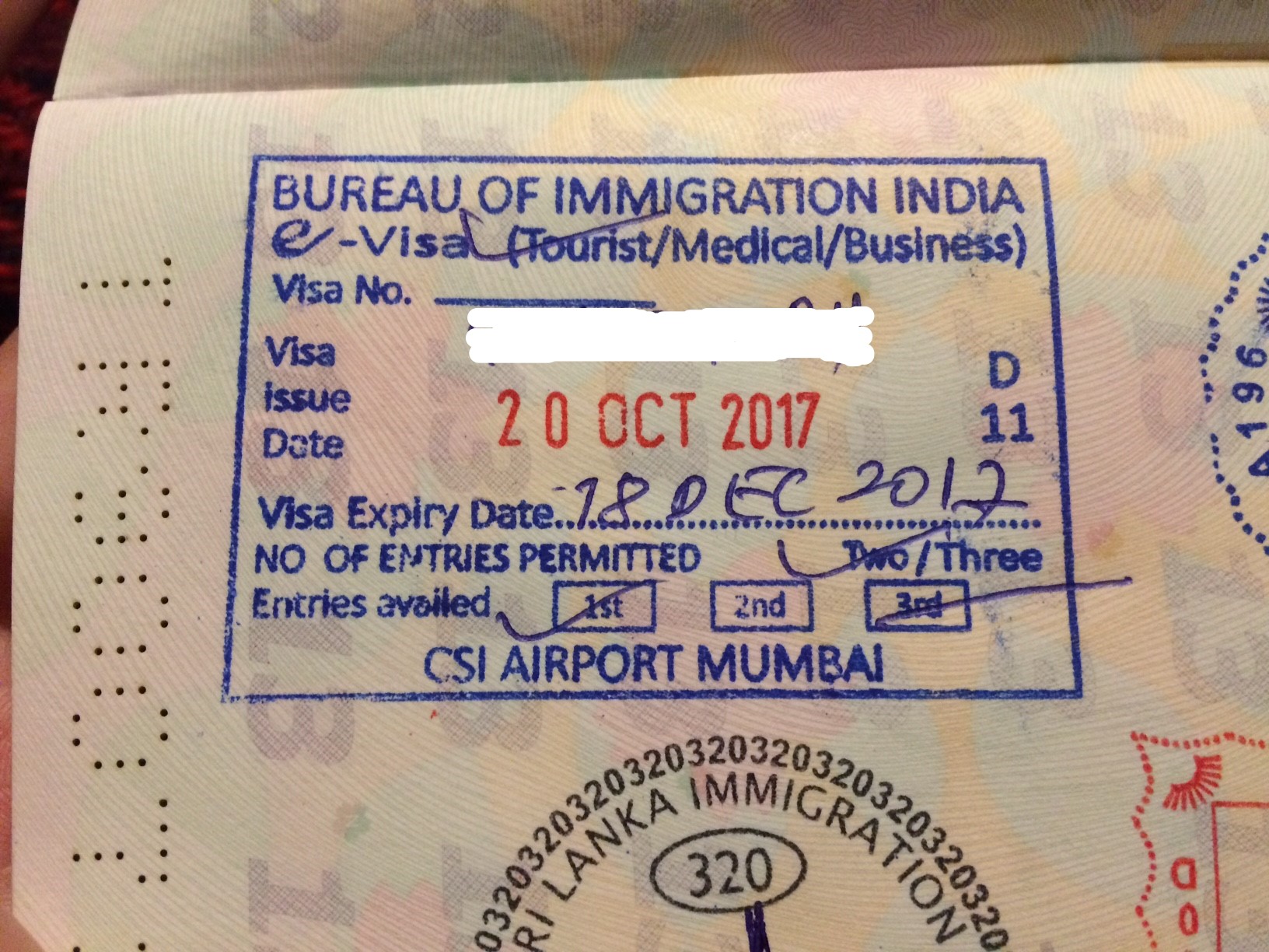 электронная виза индия требования